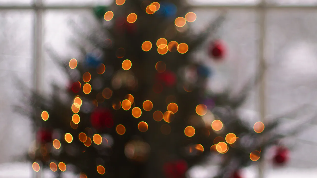 Weihnachtsbaum mit Lichterkette