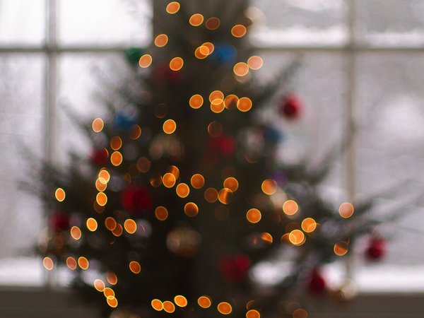 Symbolbild: Weihnachtliche Lichterkette