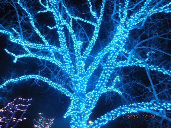 Symbolbild: Weihnachtliche Lichterkette