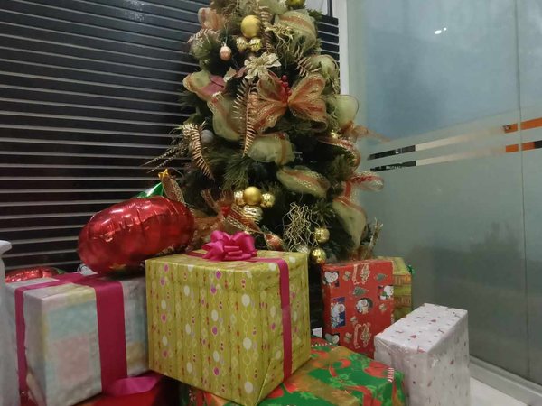 Symbolbild: Geschenke unter einem Weihnachtsbaum